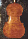 Cello in the Sun